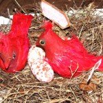 Clay Birds