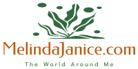 MelindaJanice.com